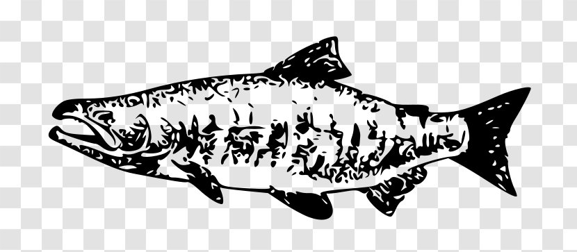 Chum Salmon Chinook Sockeye Clip Art - Shark - FISH CLIPART Transparent PNG