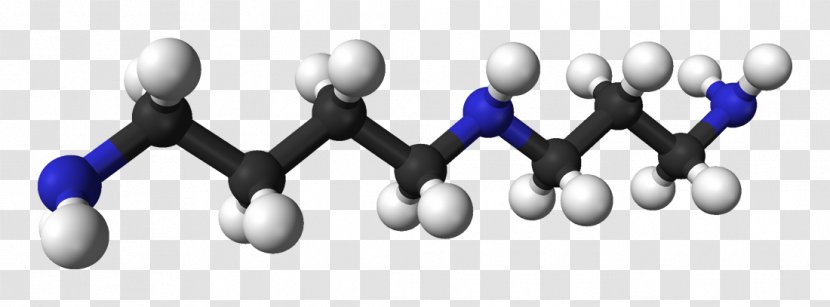 Spermidine Small Molecule Polyamine Chemistry - Putrescine - Physical Property Transparent PNG