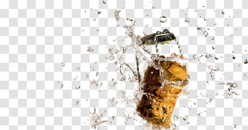 Wine Champagne Bottle Transparent PNG