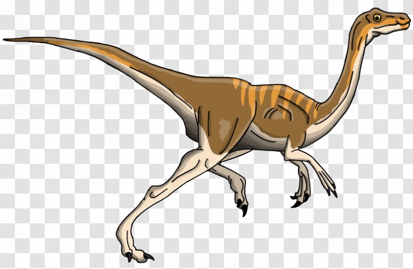 Velociraptor Tyrannosaurus Gallimimus Triceratops Brachiosaurus - Wildlife - Harmless Transparent PNG