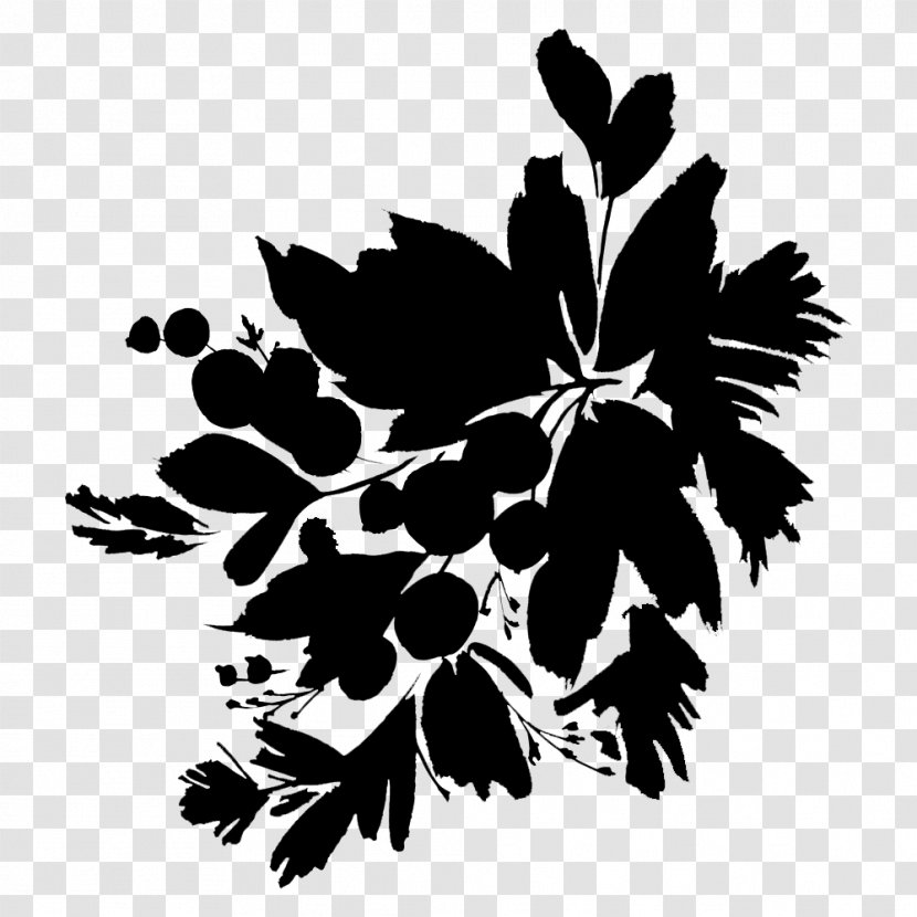 Flowering Plant Font Silhouette Leaf - Stencil - Branching Transparent PNG