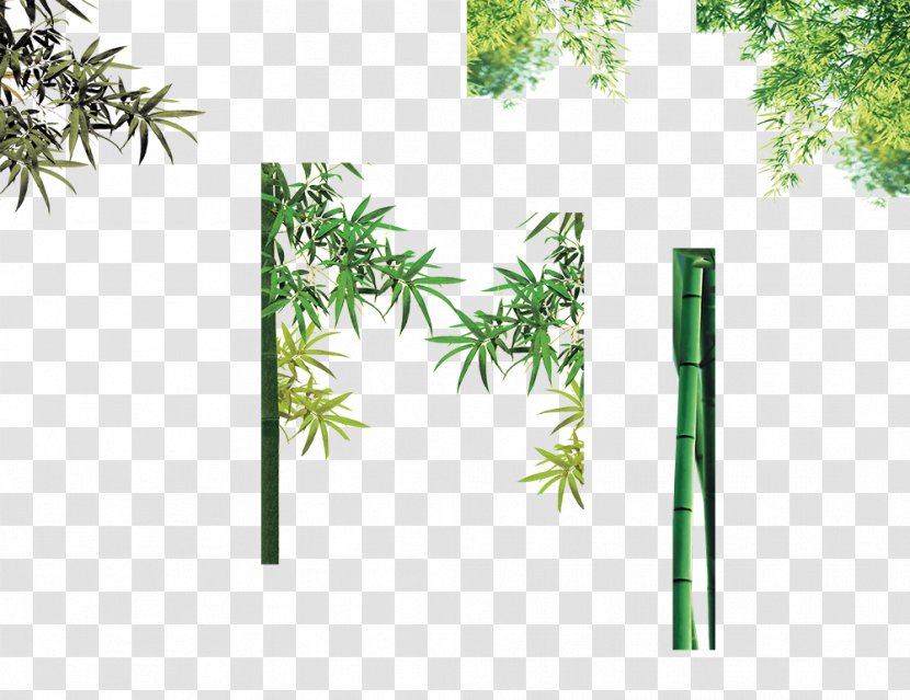 Bamboo Bamboe Computer File - Green Transparent PNG