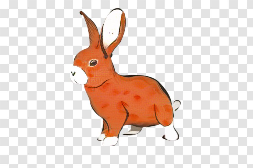 Domestic Rabbit Hare Snout Orange S.A. - Tail Transparent PNG