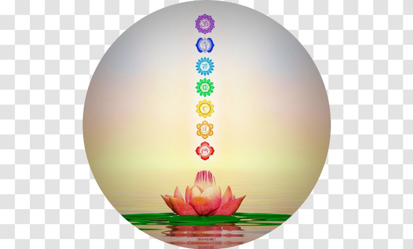 Reiki Chakra Meditation Kundalini Yoga - Psychic Reading Transparent PNG