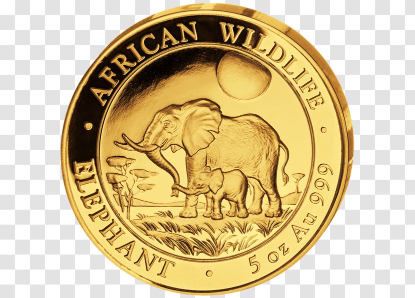 Somalia Gold Coin African Elephant Elephantidae - Elephants And Mammoths Transparent PNG