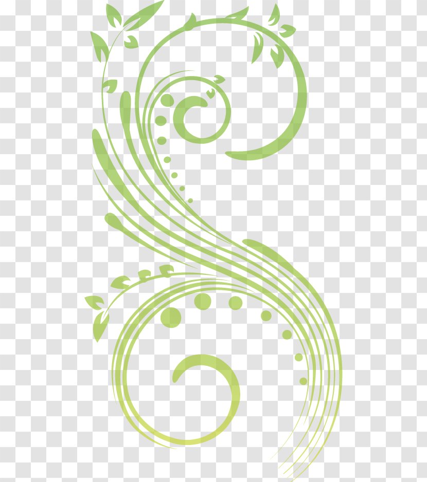 Ornament Scroll Floral Design - Plant Stem Transparent PNG