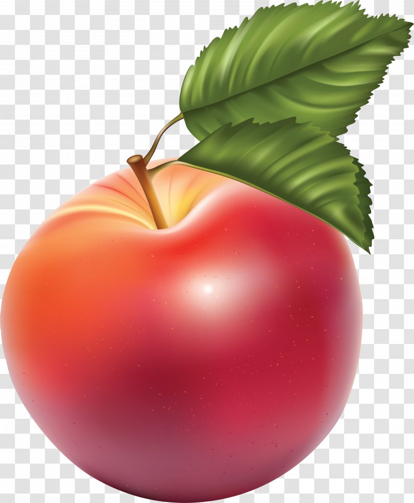 Fruit Apple Clip Art - Diet Food - Red Transparent PNG