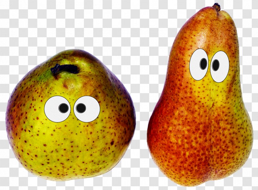 Pear Fruit Health Calorie Tree - God Transparent PNG
