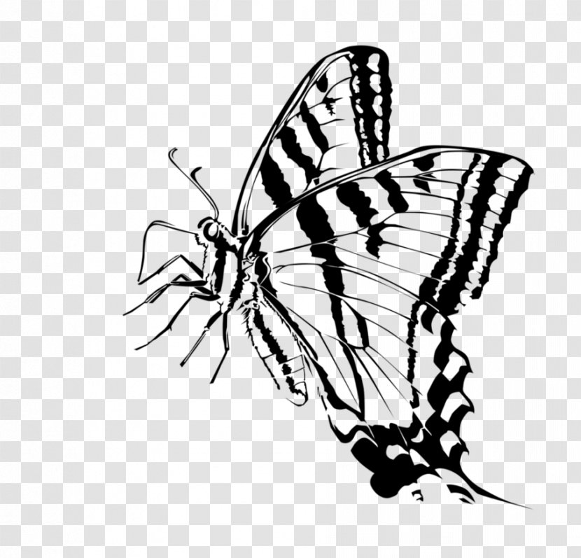 Monarch Butterfly Moth Brush-footed Butterflies Clip Art - Deviantart Transparent PNG