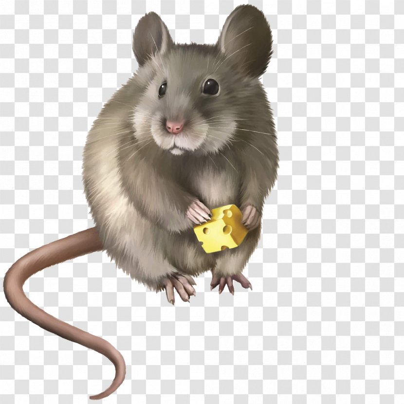 Rat Mouse Rodent Clip Art - Cheese-eating Transparent PNG