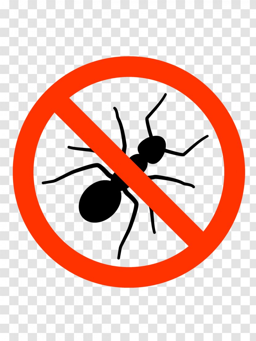 Anti-Ant Insect Red Imported Fire Ant Queen - Ants Transparent PNG