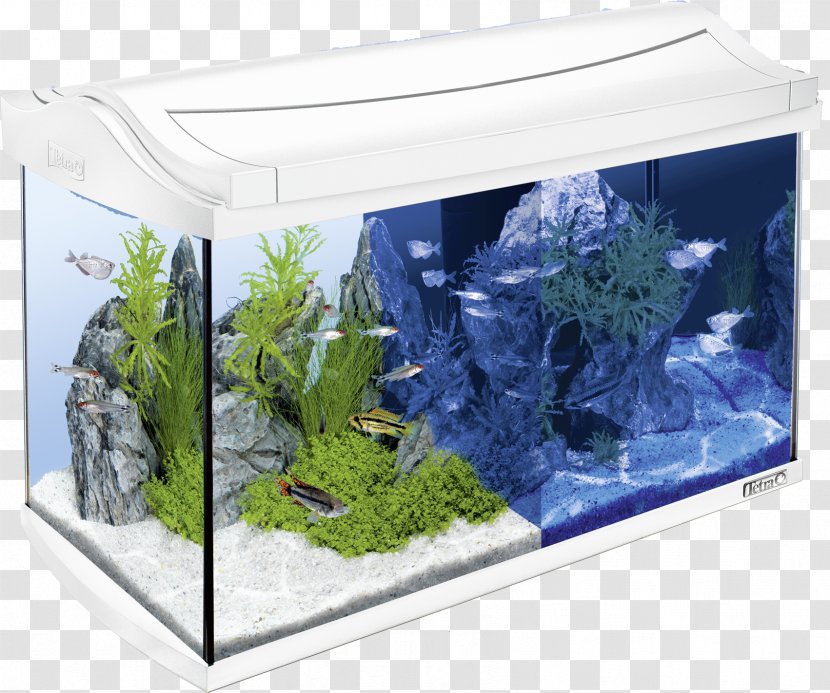 Tetra Light-emitting Diode LED Lamp Aquarium Innenfilter - Fish Tank Transparent PNG