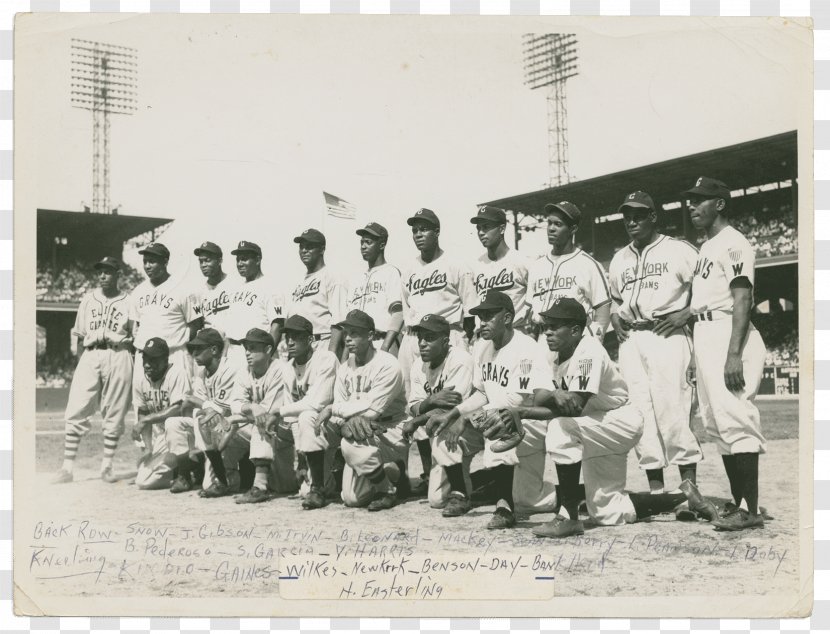MLB World Series Negro League Baseball Memorable Moments - White Transparent PNG