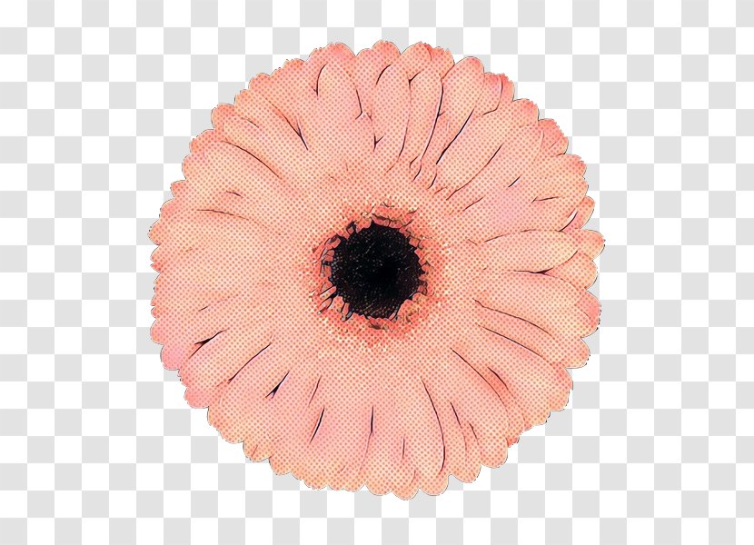 Pink Gerbera Eye Flower Plant - Retro - Petal Transparent PNG