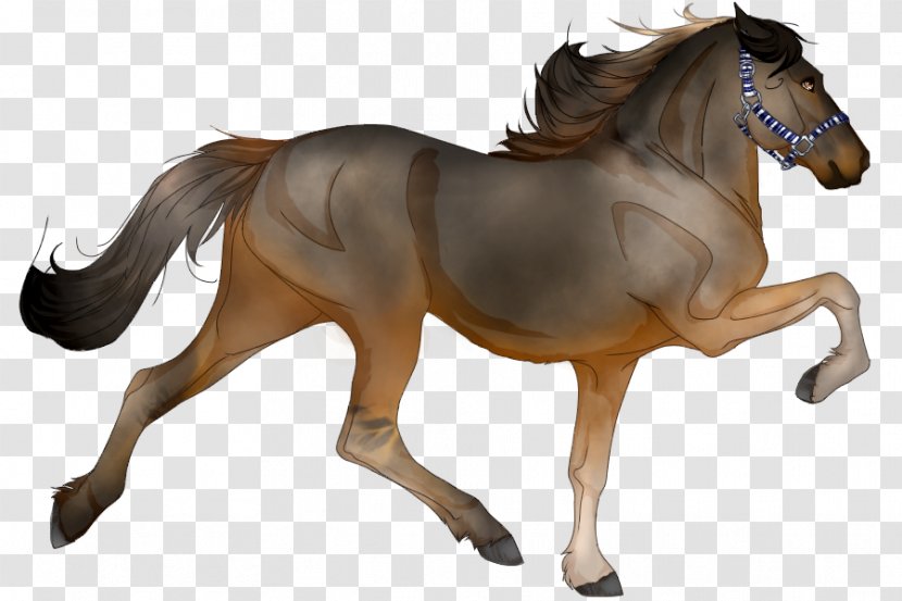 American Quarter Horse Friesian Stallion Gypsy Shire - Animal Figure - Think Again Sandy Transparent PNG