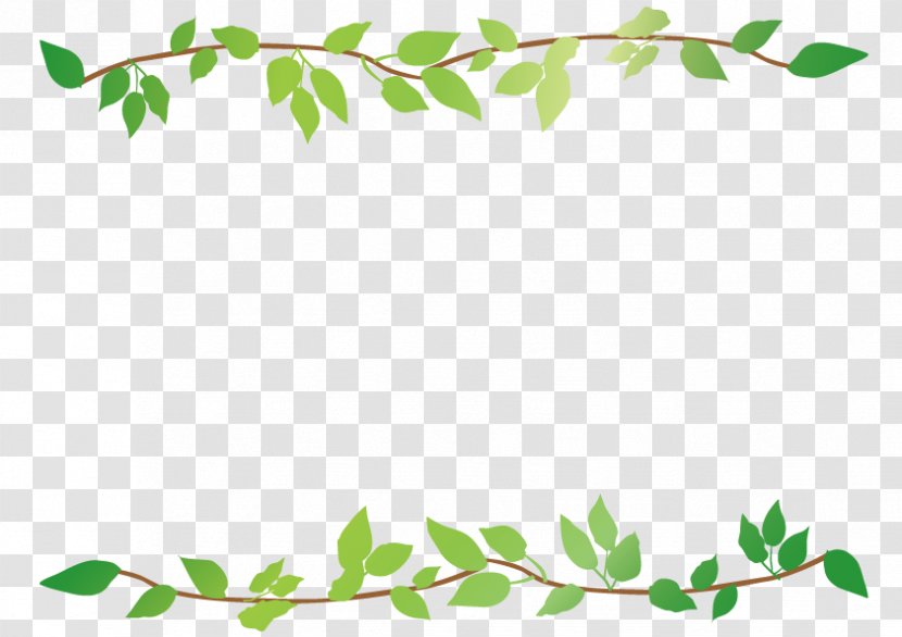 Leaf Frame Rectangular Download. - Flower - Organism Transparent PNG