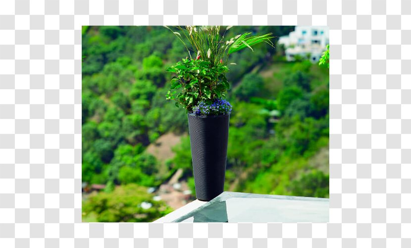 Flowerpot Container Garden Houseplant Gardening - Plant - Crescent Picture Material Transparent PNG