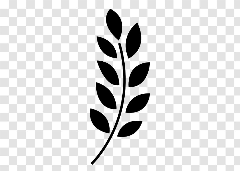 Branching - Film - Wheat Seeds Transparent PNG