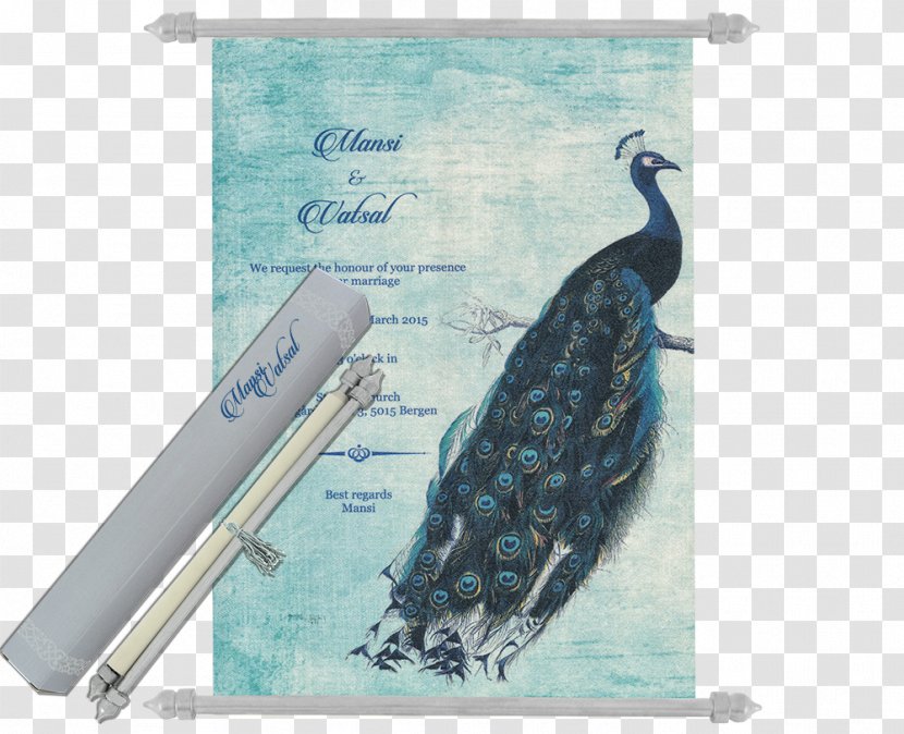 Bird Asiatic Peafowl Feather - Beak Transparent PNG