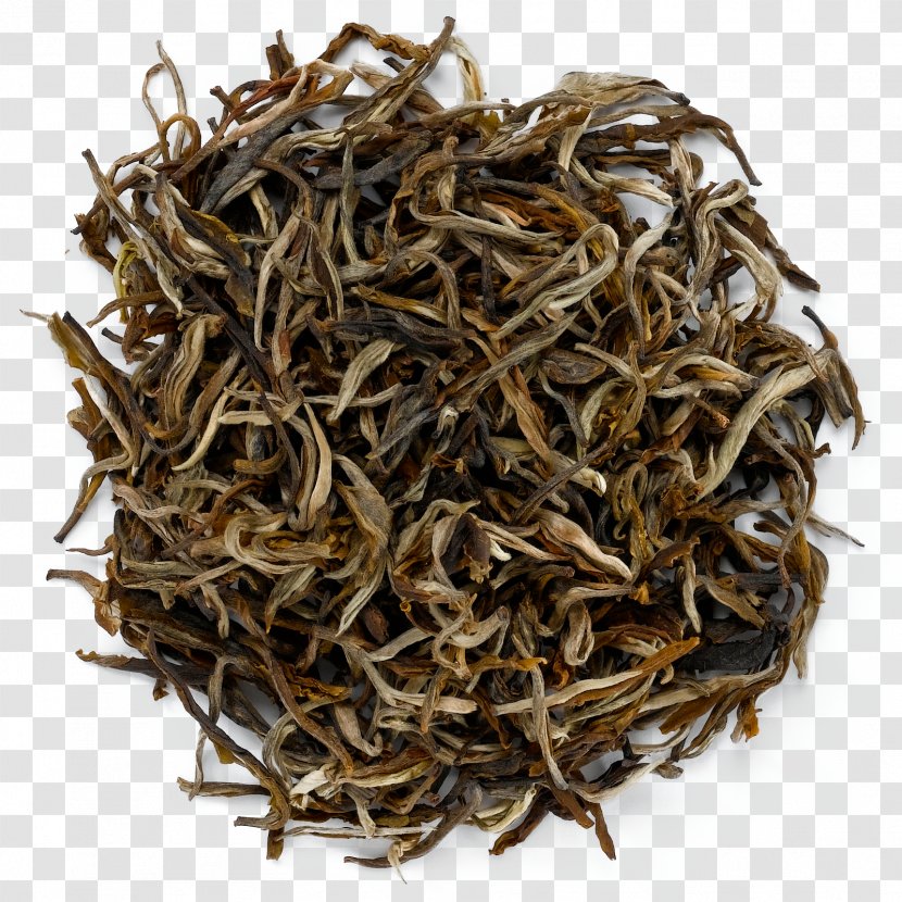 Darjeeling Tea Nilgiri White Dianhong Transparent PNG