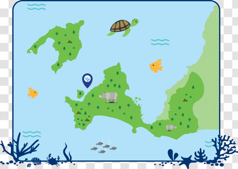 Coral Reef Water Resources Ecoregion - Leaf - Pantai Karang Suraga Transparent PNG