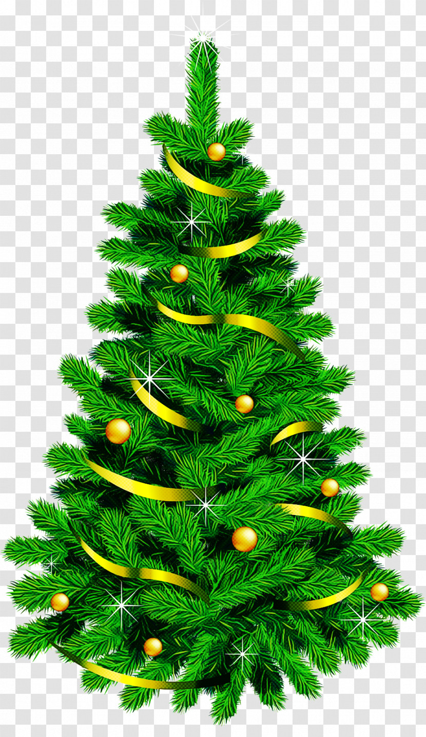 Christmas Tree Transparent PNG