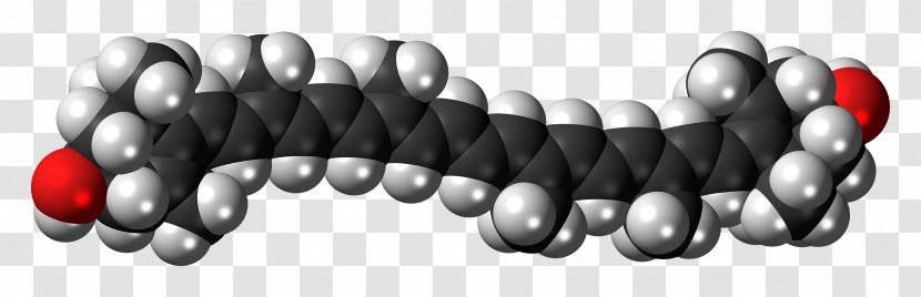 Beta-Carotene Alpha-Carotene Apocarotenal Terpenoid - Black And White - Molecule Transparent PNG
