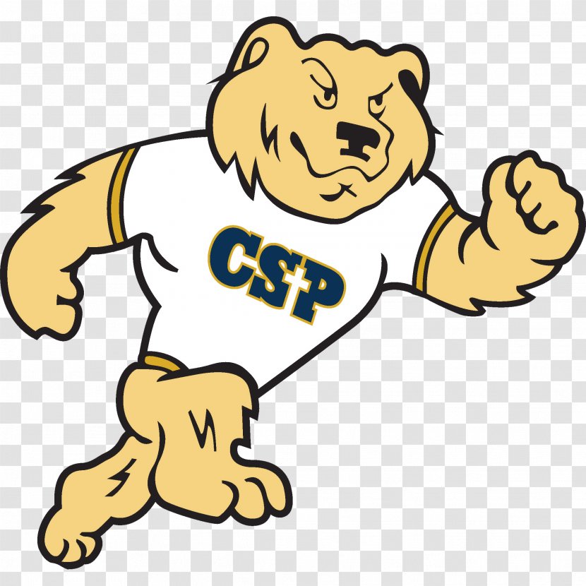 Concordia University-St. Paul Golden Bears Football Upper Iowa University Men's Basketball Florida Southern College - Happiness - Mascot Transparent PNG