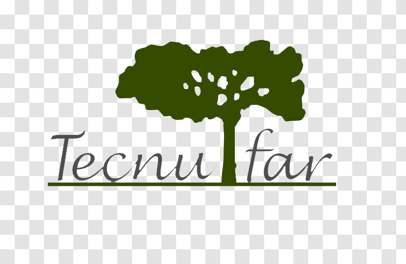 Tree Roundtable On Sustainable Palm Oil Logo Tecnufar Iberica Sl Brand - Plant Stem Transparent PNG