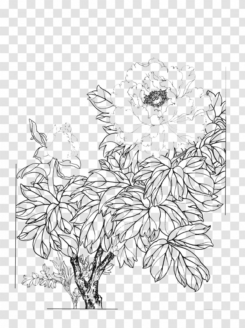 Floral Design Moutan Peony Gongbi - Line Art Transparent PNG