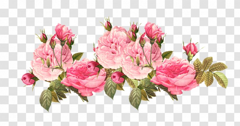 Pink Flowers Rose Clip Art - Flower Arranging - Shabby Star Cliparts Transparent PNG