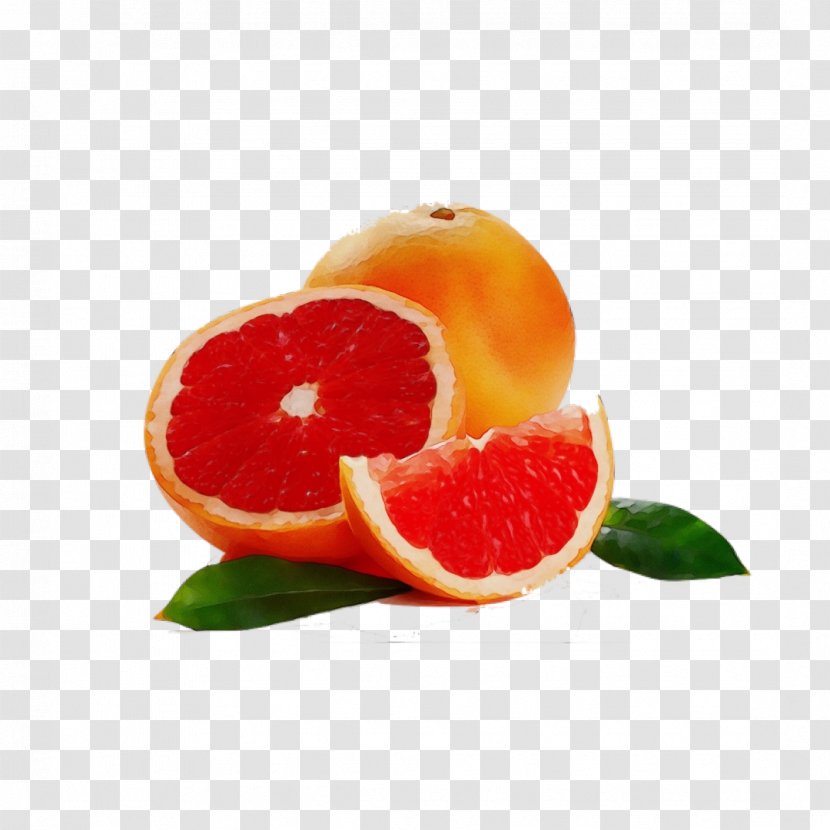 Citrus Fruit Grapefruit Food Tangerine - Mandarin Orange Plant Transparent PNG