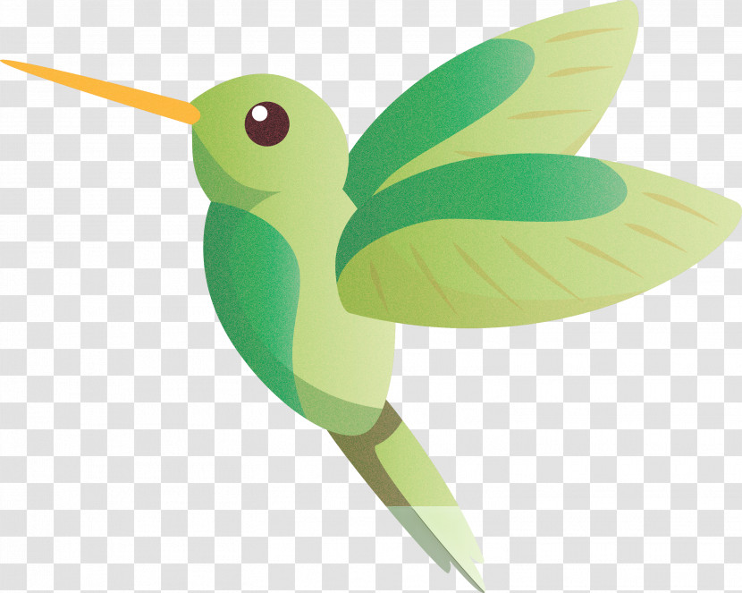 Hummingbirds Birds Cell Membrane Eukaryote Beak Transparent PNG