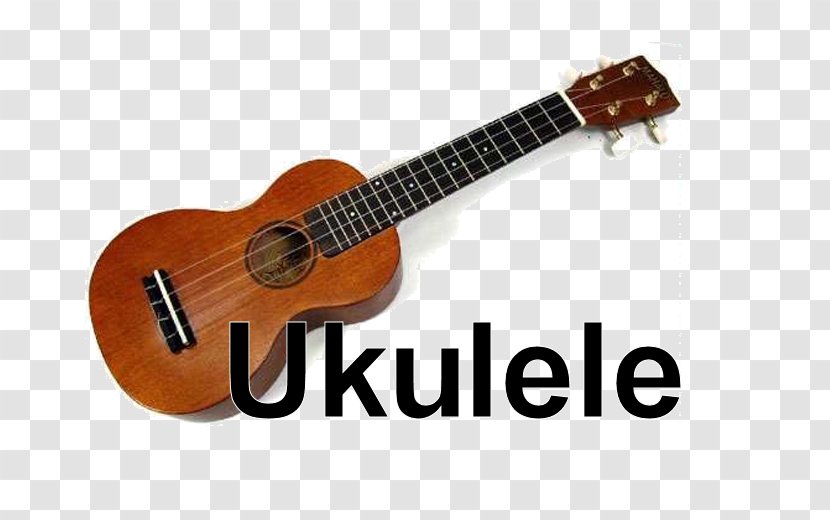 Ukulele Tiple Bass Guitar Acoustic - Cartoon Transparent PNG