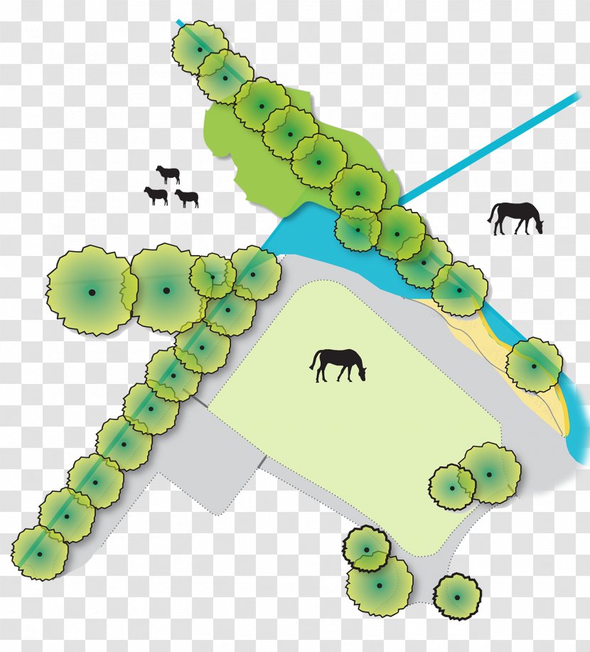 Horse Equestrian Centre Landscape Architecture Sketch - Reptile Transparent PNG
