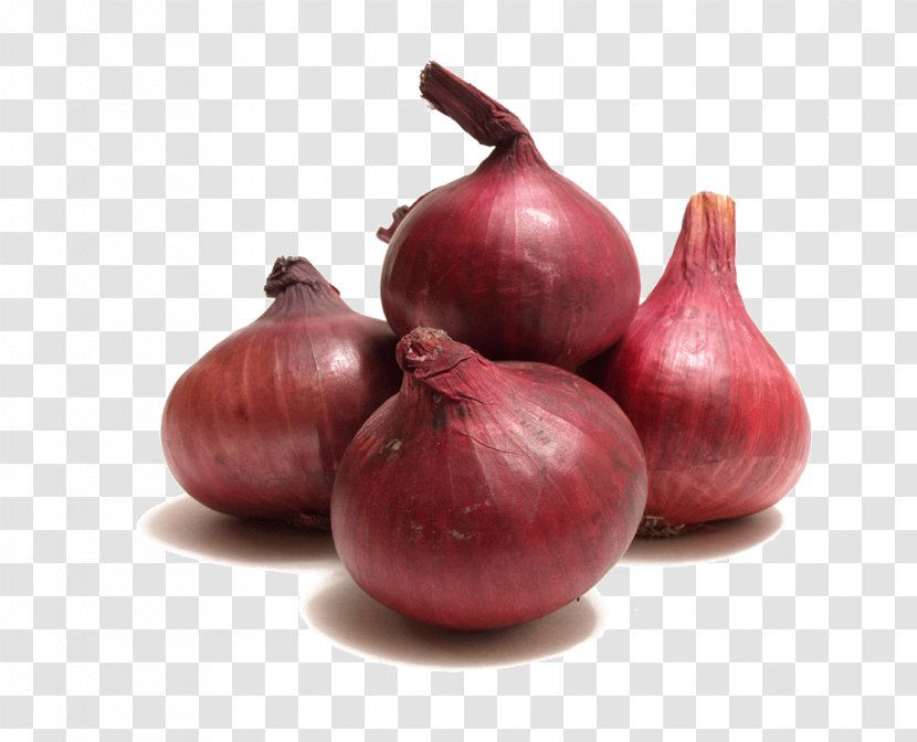 Potato Onion Vegetable Garlic Red - Allium Fistulosum Transparent PNG