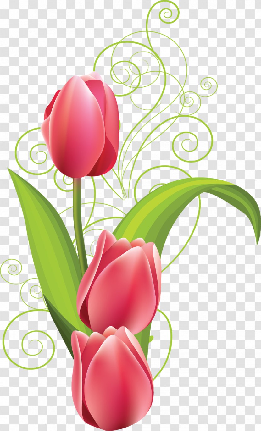 Blog Flower Download Clip Art - Floral Design - Dung Transparent PNG