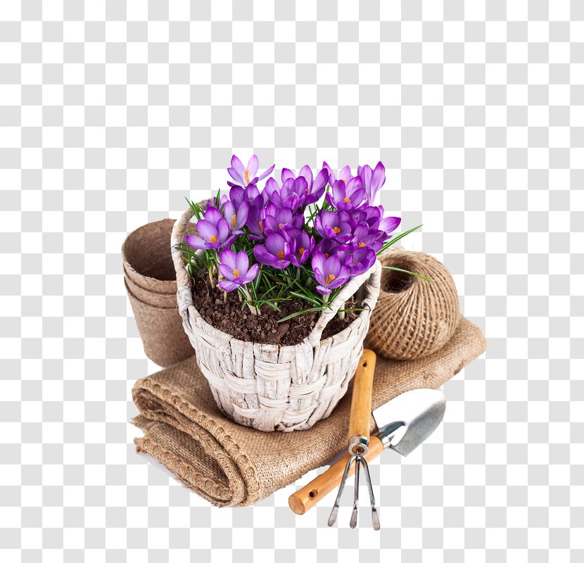 Flowerpot Garden Desktop Wallpaper Image Photography - Flower Basket Transparent PNG