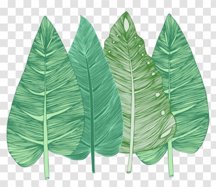 Leaf Desktop Wallpaper - Maple - Plant Transparent PNG