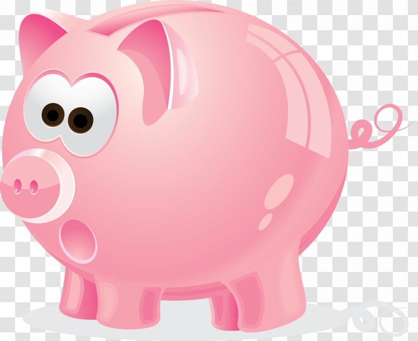 Domestic Pig Piggy Bank Cartoon Illustration Transparent PNG