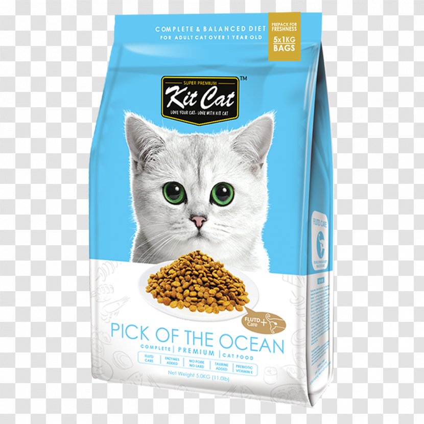 Cat Food Dog Flavor - Pet - Salmon Fillet Transparent PNG