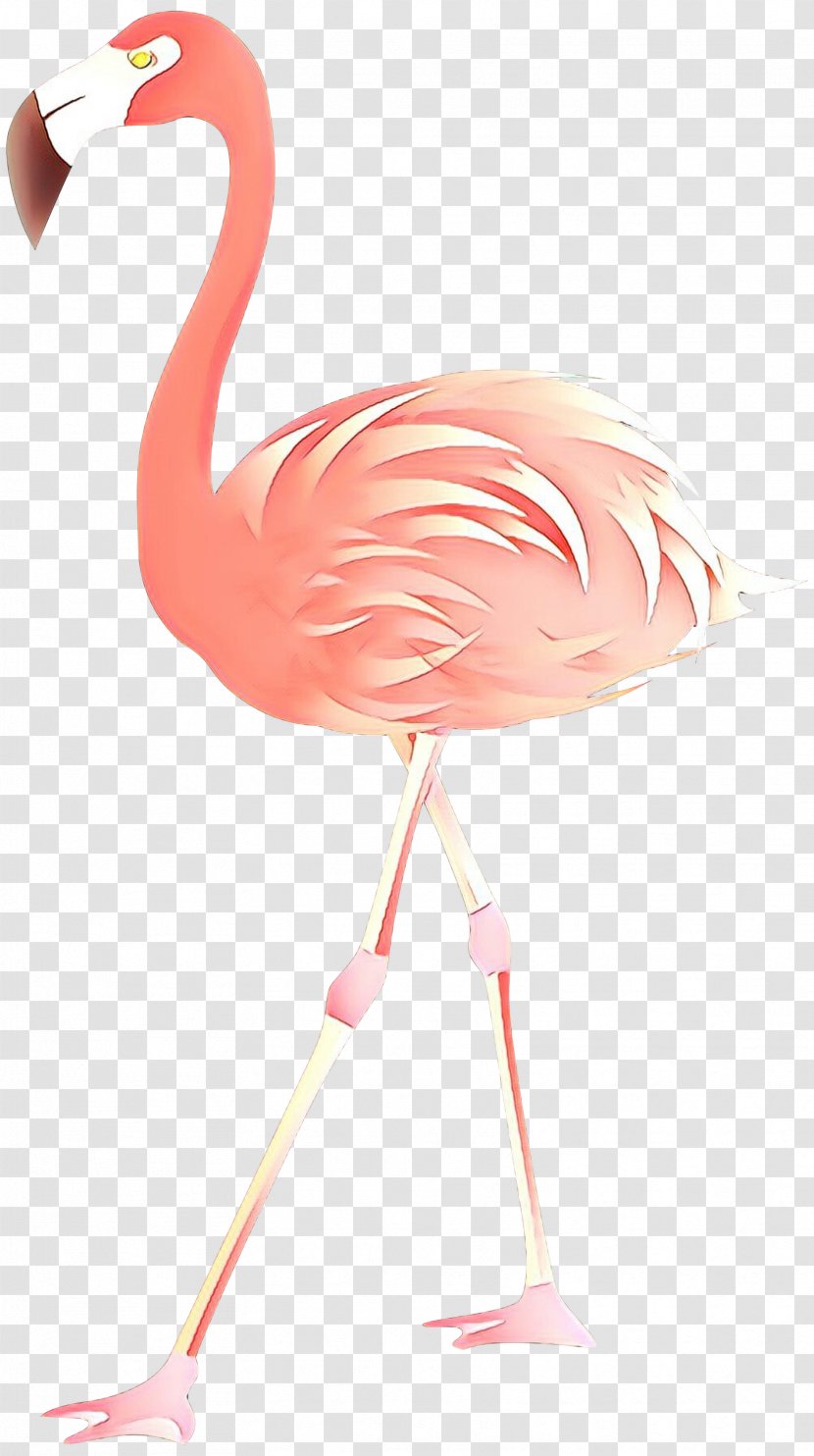 Clip Art Flamingo Image Desktop Wallpaper - Stork - Greater Transparent PNG