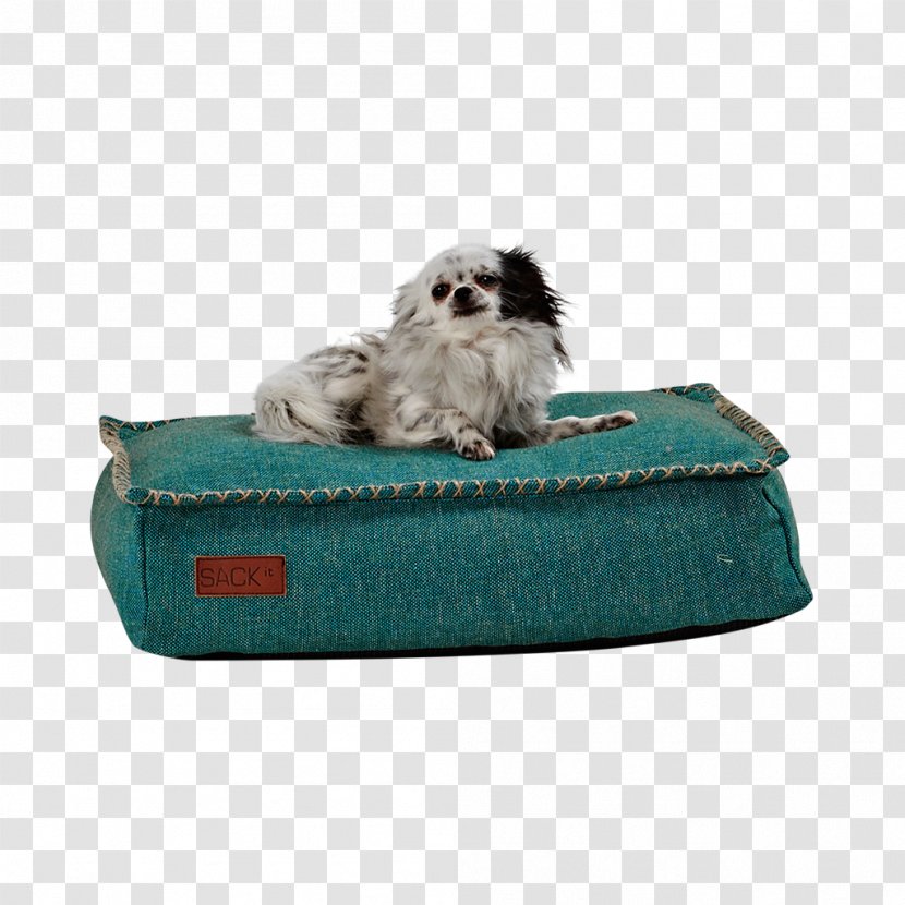 Dog Breed Pet Furniture Bean Bag Chair - Snout Transparent PNG
