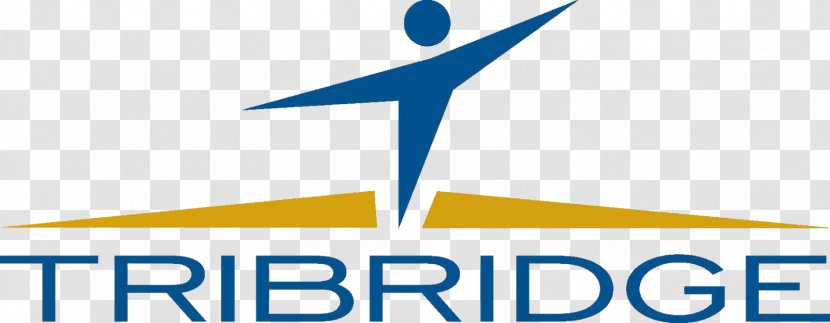 Logo Organization Tribridge Brand Business - Area - Tri Color Transparent PNG