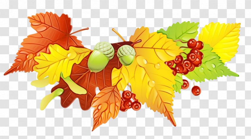 Autumn Leaves Drawing - Food Deciduous Transparent PNG