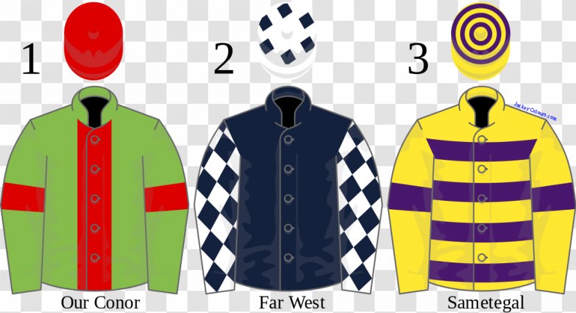 Eider Chase Horse Triumph Hurdle Pendil Novices' December Gold Cup - Jersey Transparent PNG