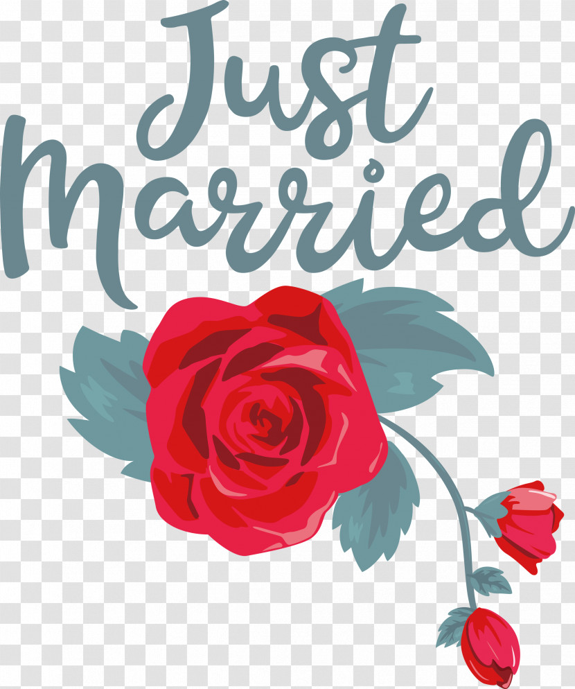 Just Married Wedding Transparent PNG