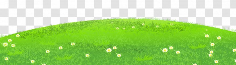 Clip Art - Landscaping - Grass With Daisies Clipart Transparent PNG