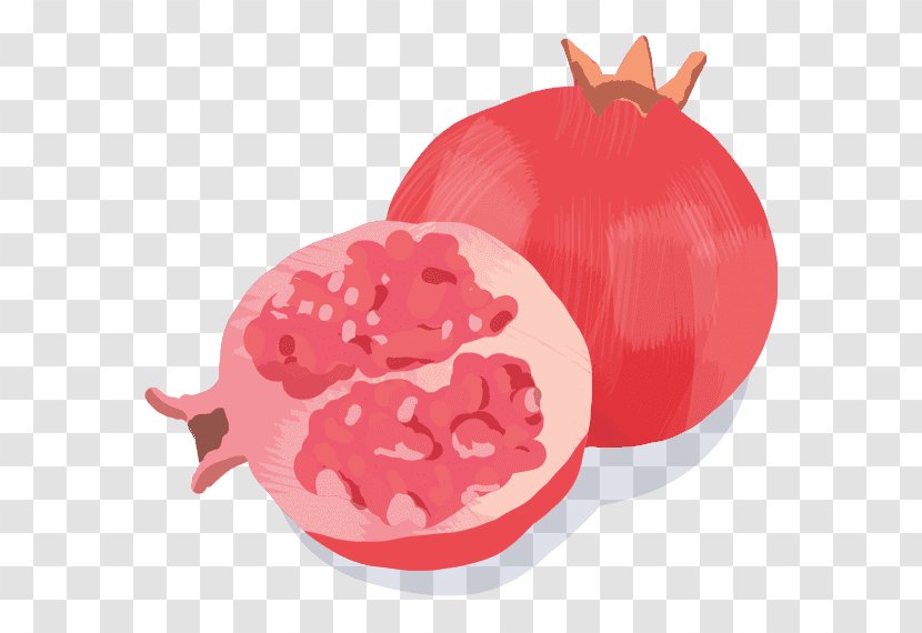 Fruit - Food Transparent PNG