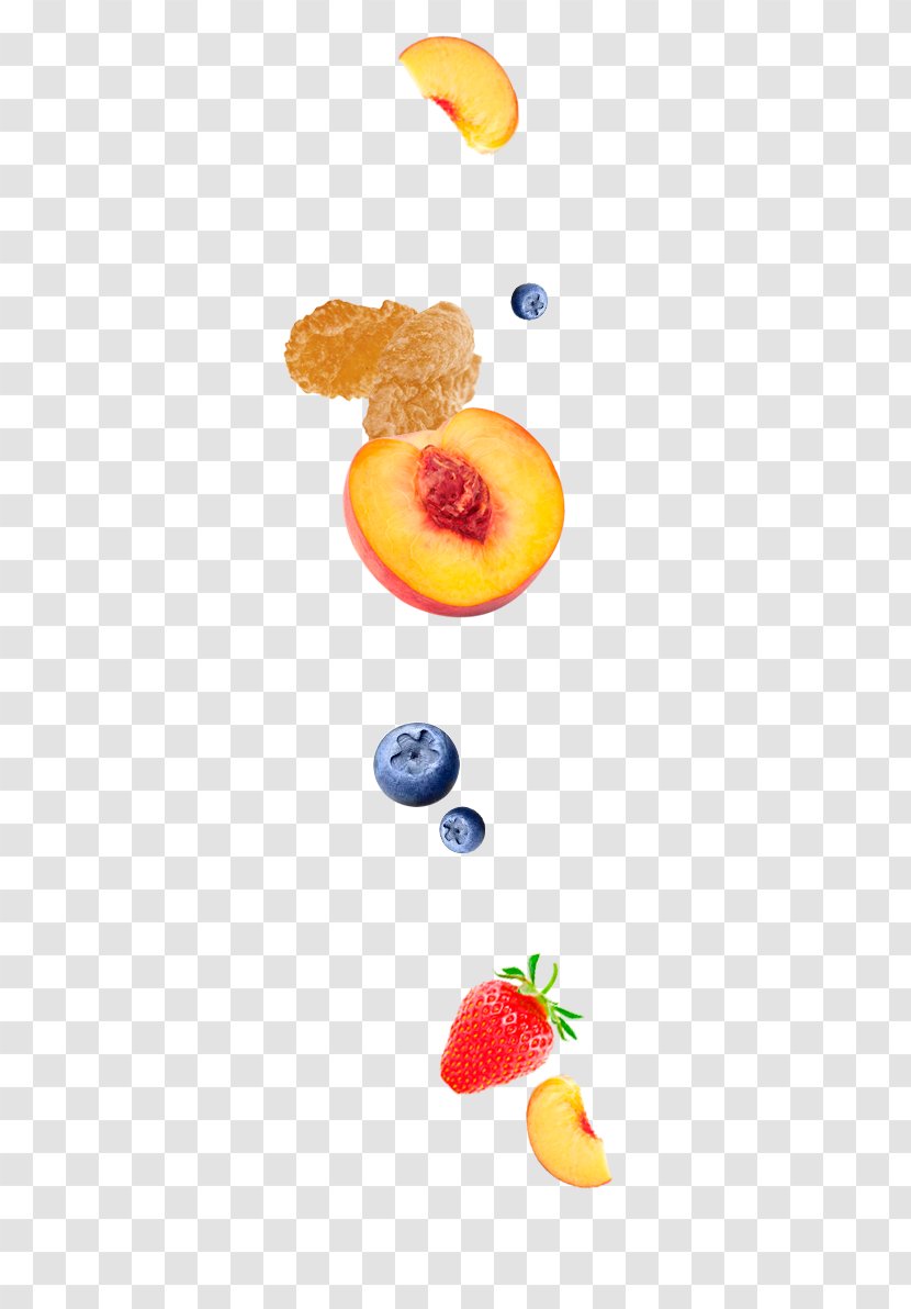 Probiotic Lactobacillus Acidophilus Cereal Food Yoghurt - Fruit - Cereals And Fruits Transparent PNG